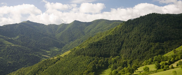 Valley of Lena in Asturias © Turespaña