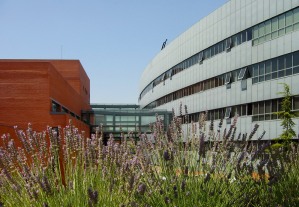 Universidad Autónoma de Madrid. Madrid. 